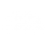 Logo-Terrain-Basket.fr v2